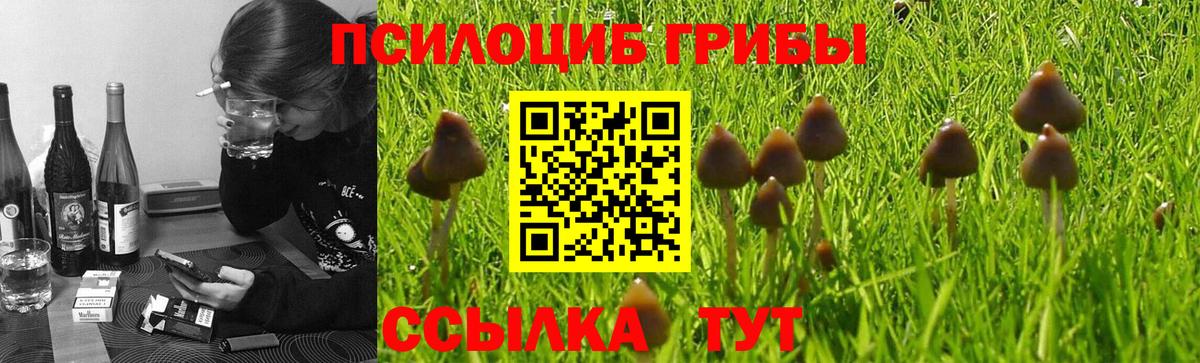 Лыткарино  Псилоцибиновые грибы Cubensis  Вход с VPN 